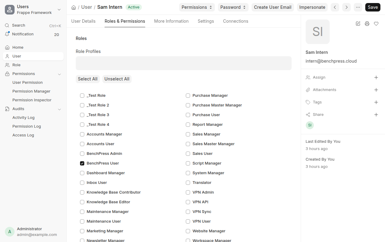 The Frappe Desk User document for Sam Intern, intern@benchpress.cloud, on the Roles and Permissions tab.